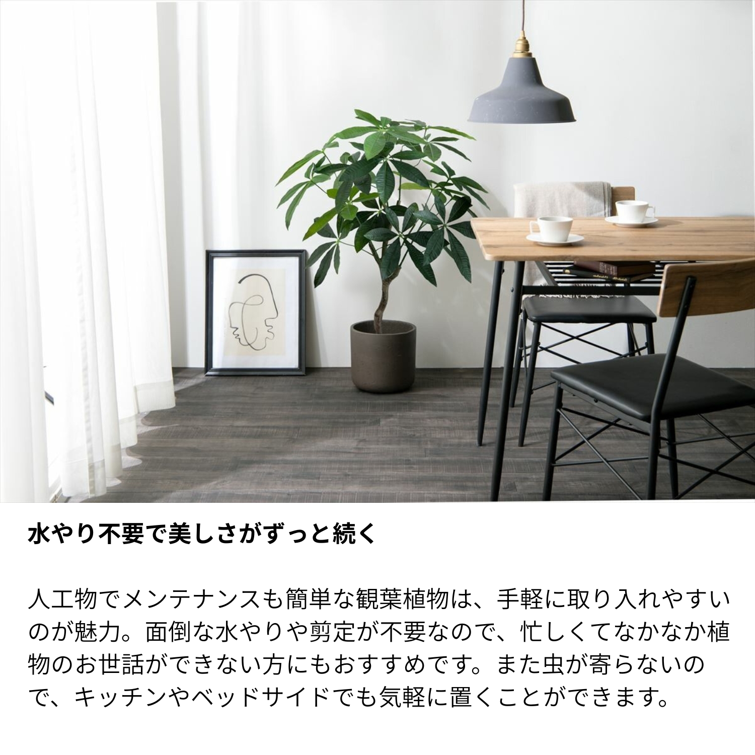 フェイクグリーン パキラ