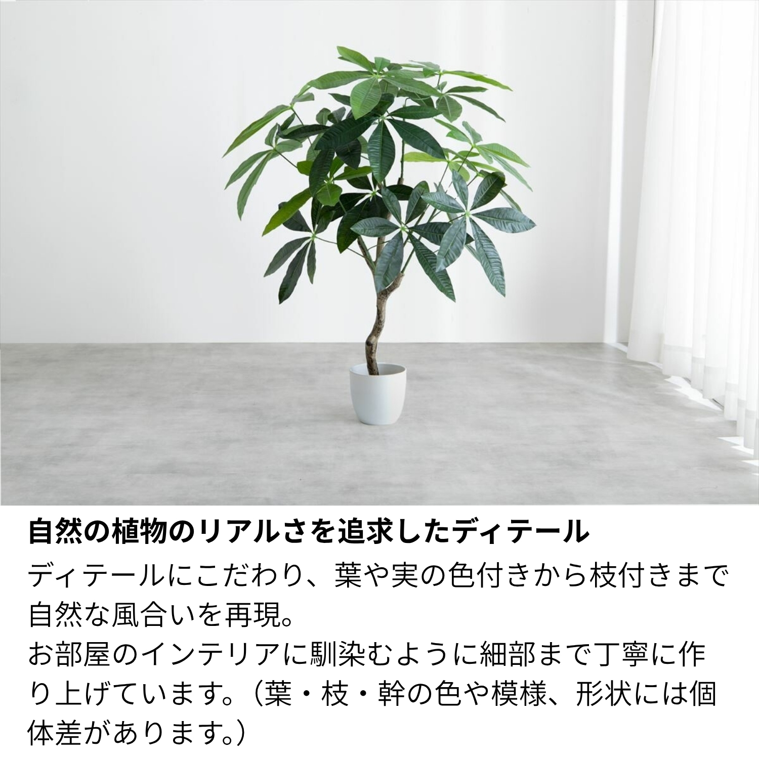 フェイクグリーン パキラ