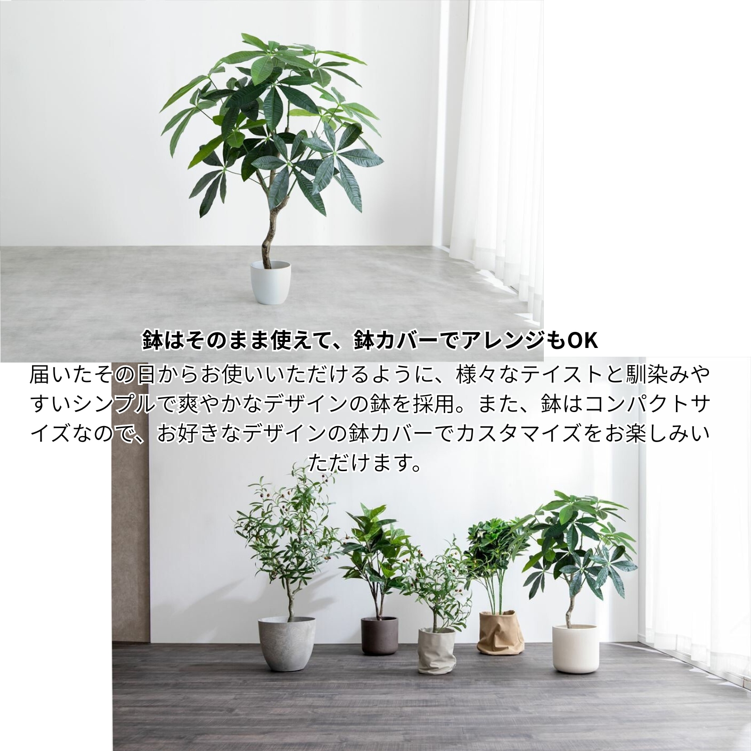 フェイクグリーン パキラ