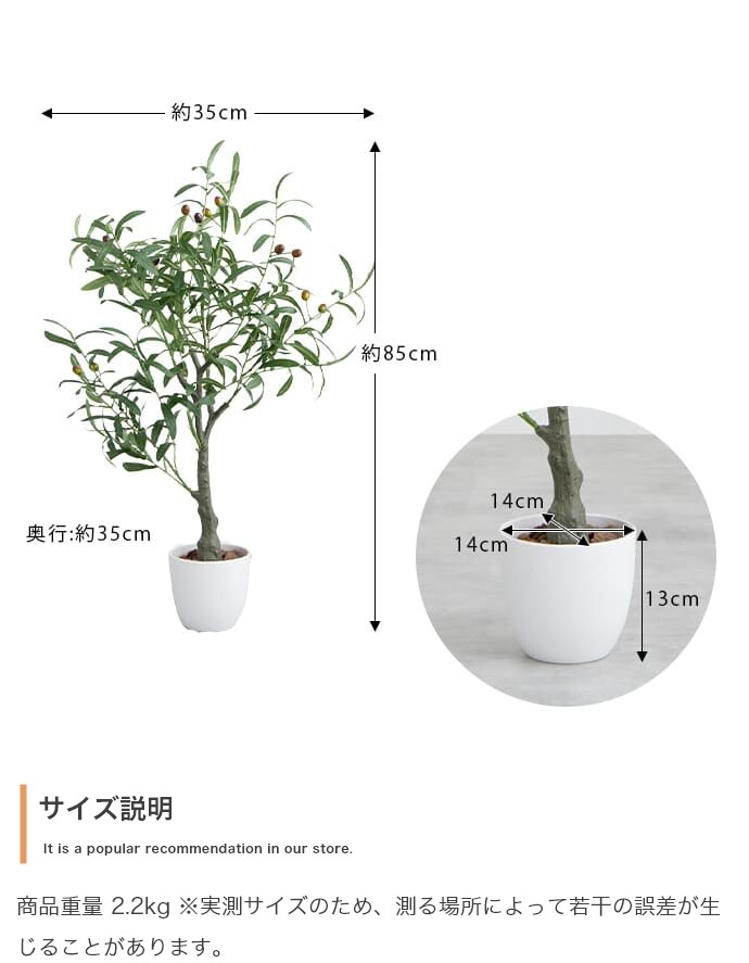 フェイクグリーン 光触媒 人工観葉植物