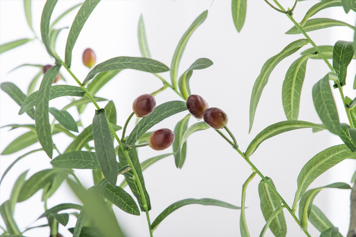 フェイクグリーン 光触媒 人工観葉植物