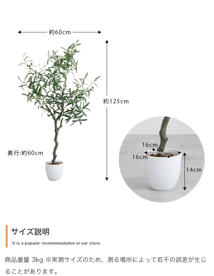 フェイクグリーン オリーブ 高さ125cm 光触媒 人工観葉植物 空気清浄