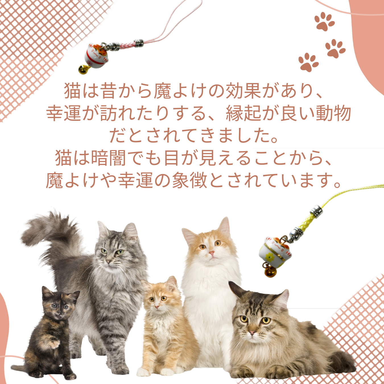 招き猫 詳細2