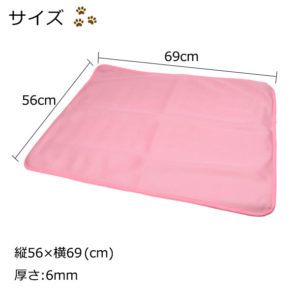 サイズ