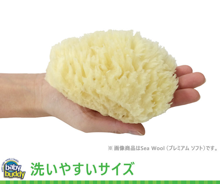 Premium Soft Sea Wool Sponge