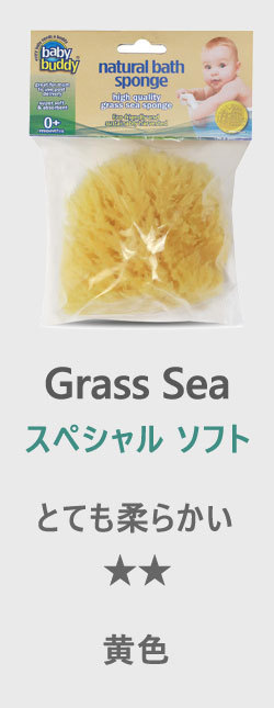 グラスシー スペシャルソフト
