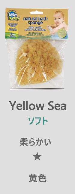 イエローシー ソフト