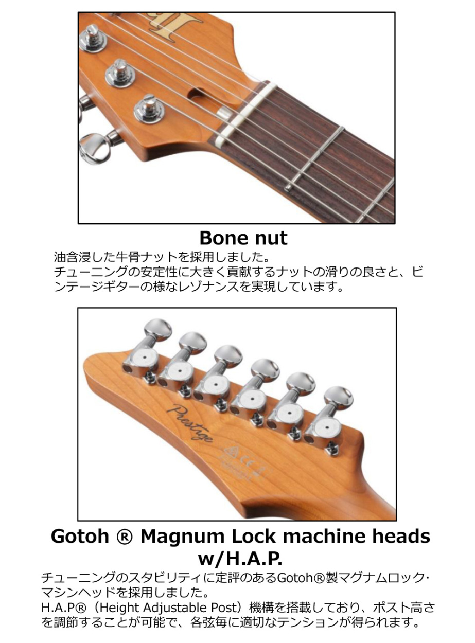 Ibanez（アイバニーズ） 【限定生産モデル】Ibanez AZ2204NW -MGR