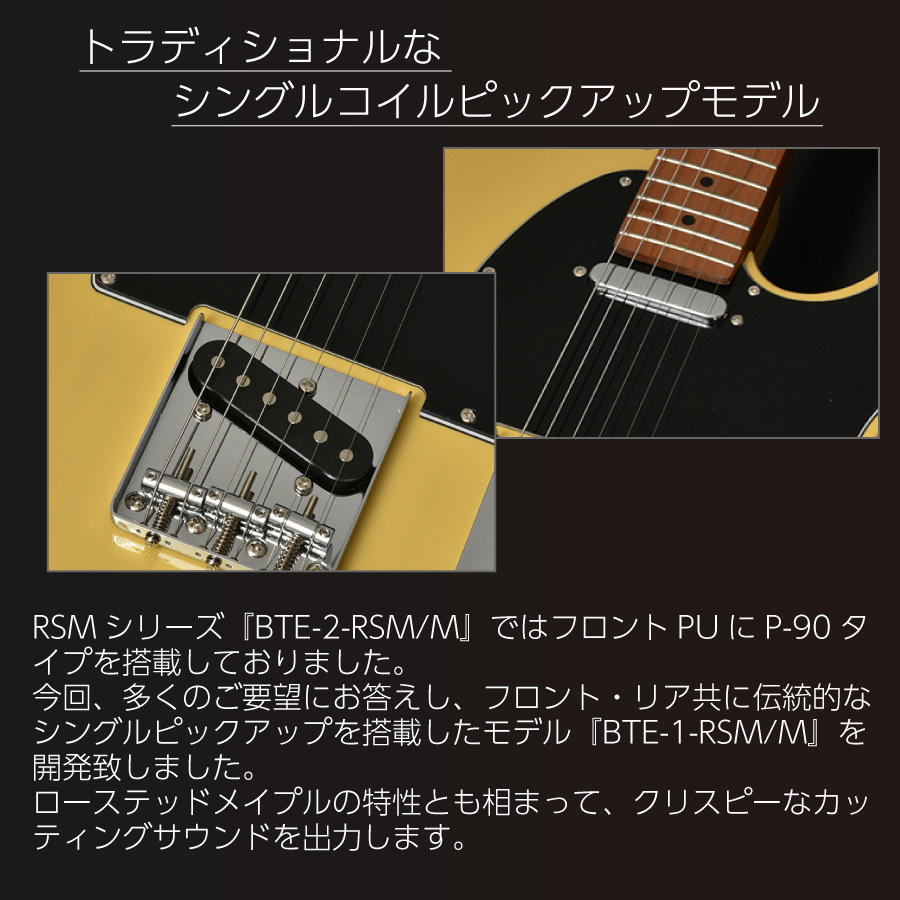 Bacchus Universe Series BTE-1-RSM/M -3TS- │ サンバースト《エレキ