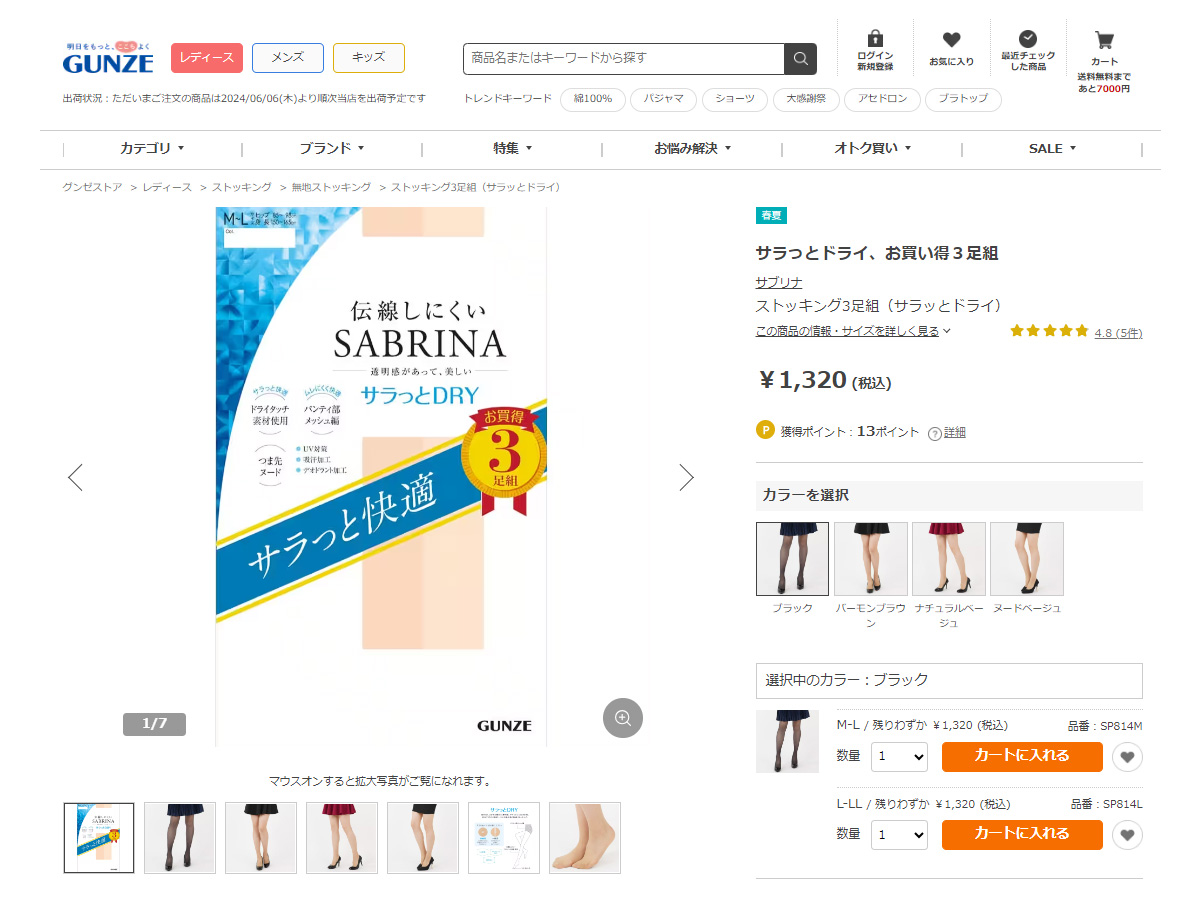 SABRINA（GUNZE） GUNZE グンゼ SABRINA サブリナ ストッキング3