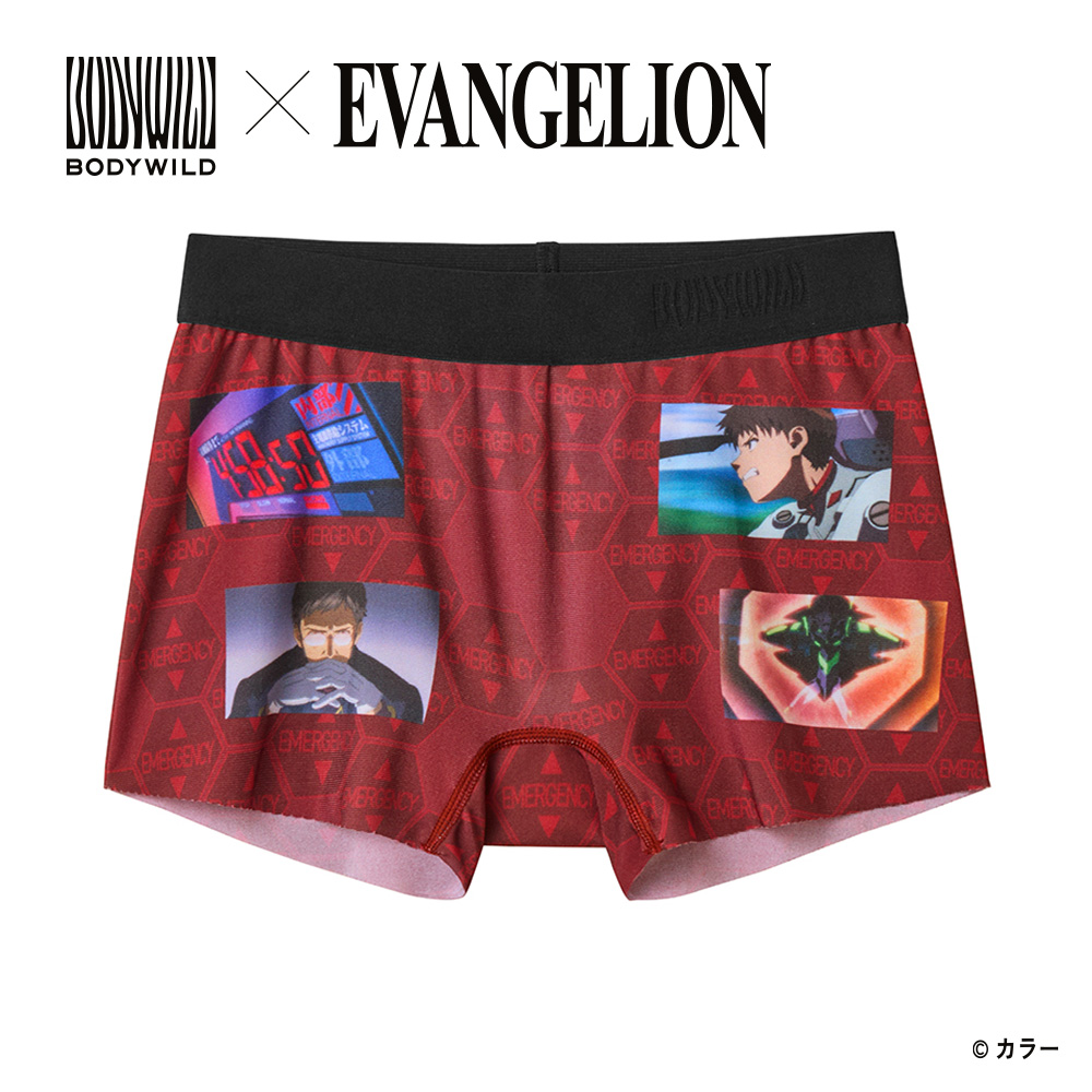 BODY WILD（ボディワイルド） グンゼ GUNZE ボクサーパンツ レディース