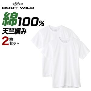 グンゼ GUNZE ボディワイルド BODYWILD Tシャツ 2枚組 メンズ 丸首 クルーネック ...