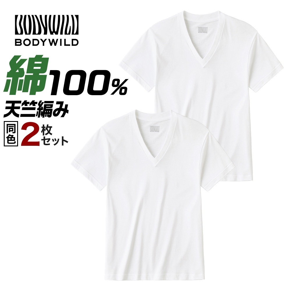 BODY WILD（ボディワイルド） グンゼ Tシャツ メンズ 半袖 綿100% V