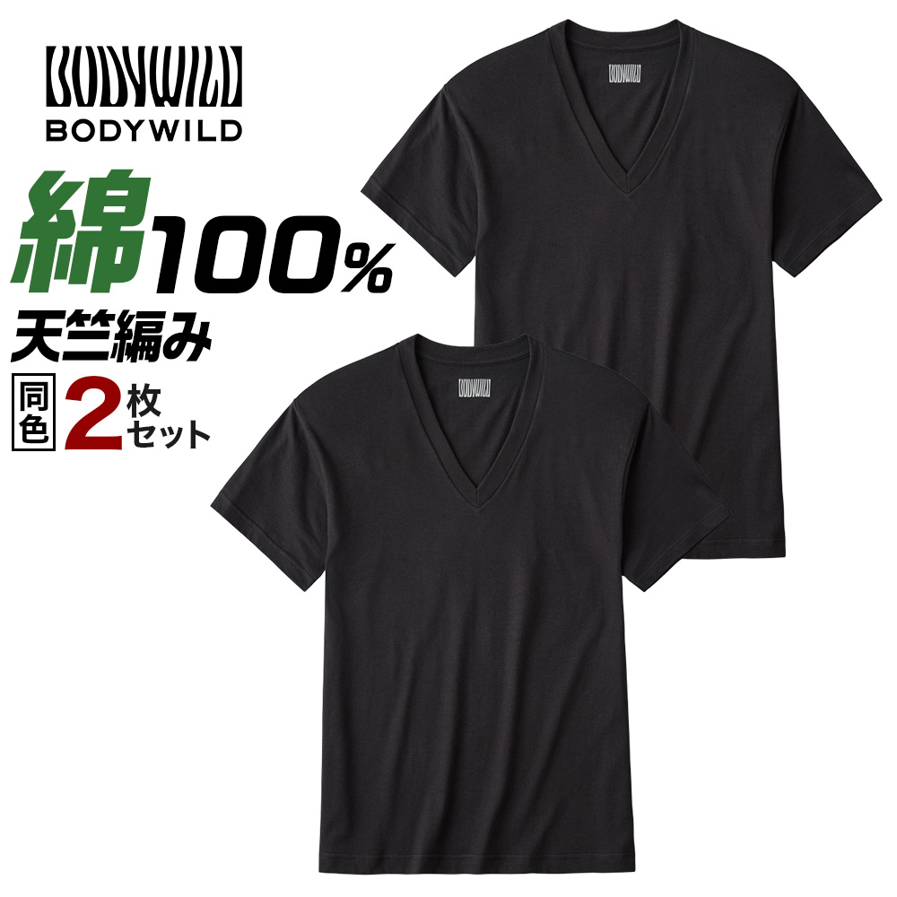 BODY WILD（ボディワイルド） グンゼ Tシャツ メンズ 半袖 綿100% V