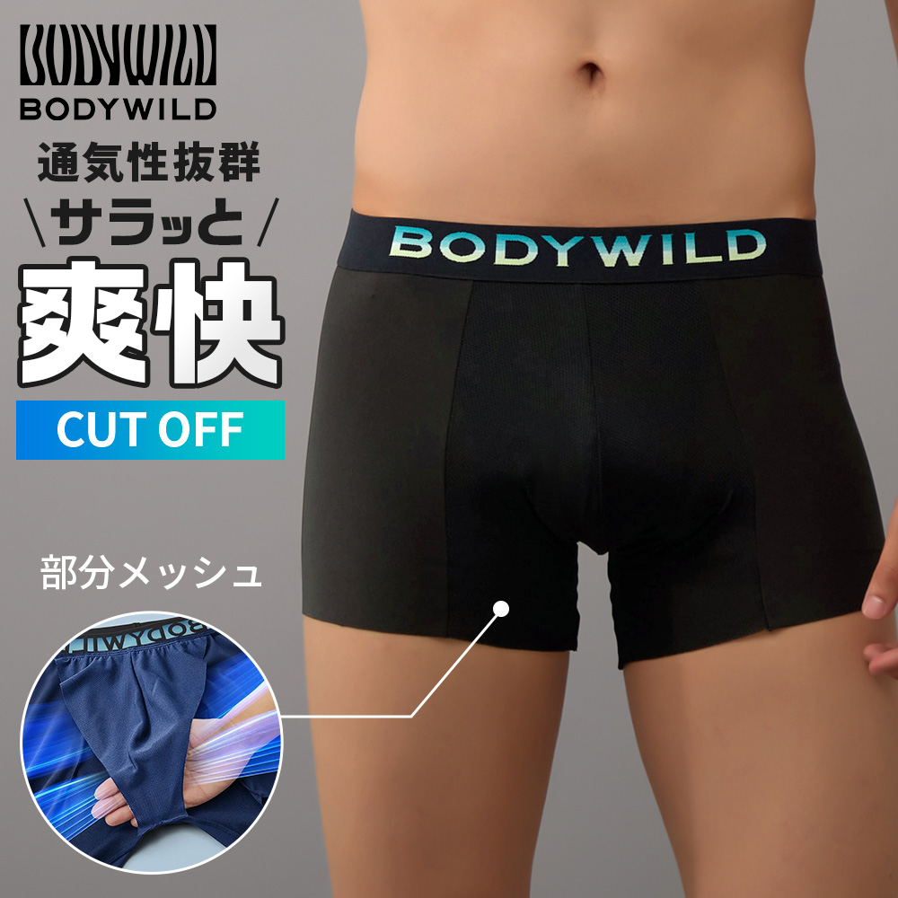 BODY WILD（ボディワイルド） グンゼ ボクサーパンツ メンズ オール