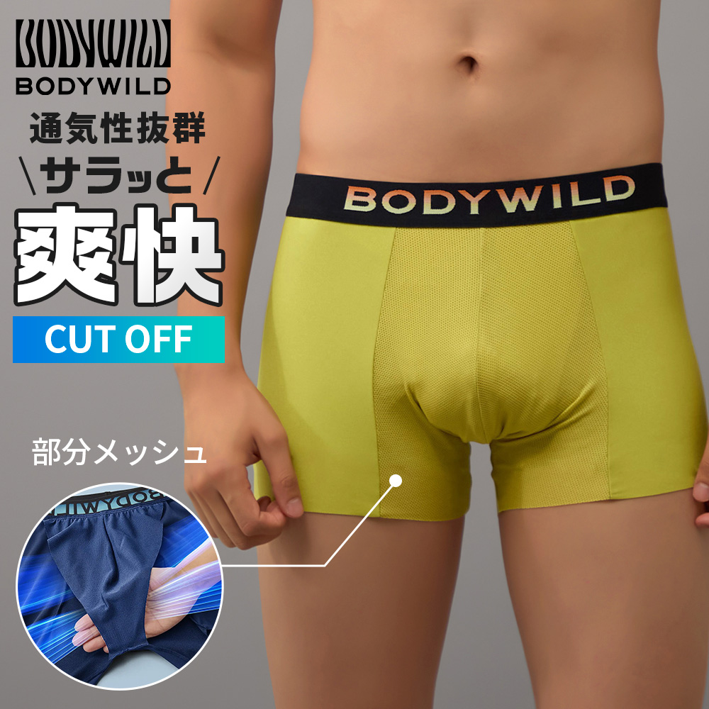 BODY WILD（ボディワイルド） グンゼ ボクサーパンツ メンズ オール