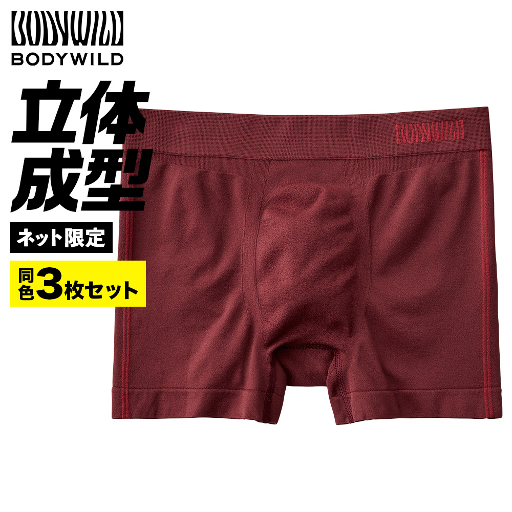ネット限定3枚セット】グンゼ GUNZE 3D-Boxer ボクサーパンツ 前