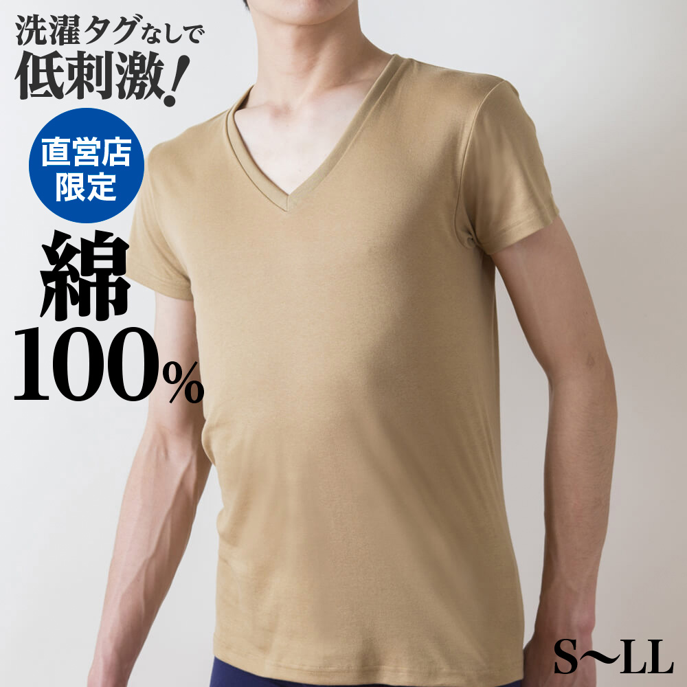 GUNZE メンズインナーVネックTシャツ L 2枚セット - その他