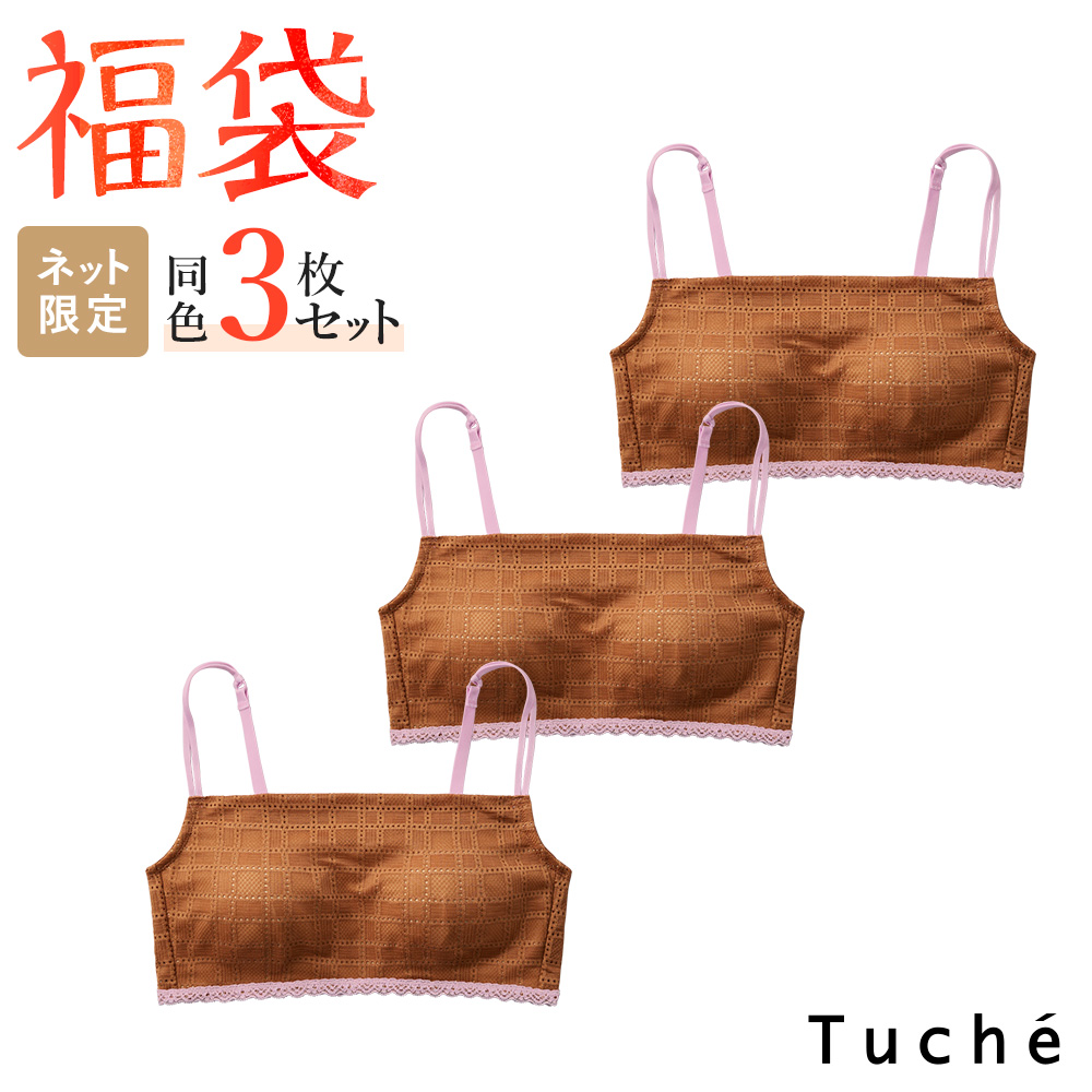 Tuche 福袋 2026 グンゼ ブラジャー ノンワイヤー レディース 昼夜兼用 Tuche 福袋 2026 グンゼ ブラジャー ノンワイヤー レディース 昼夜兼用