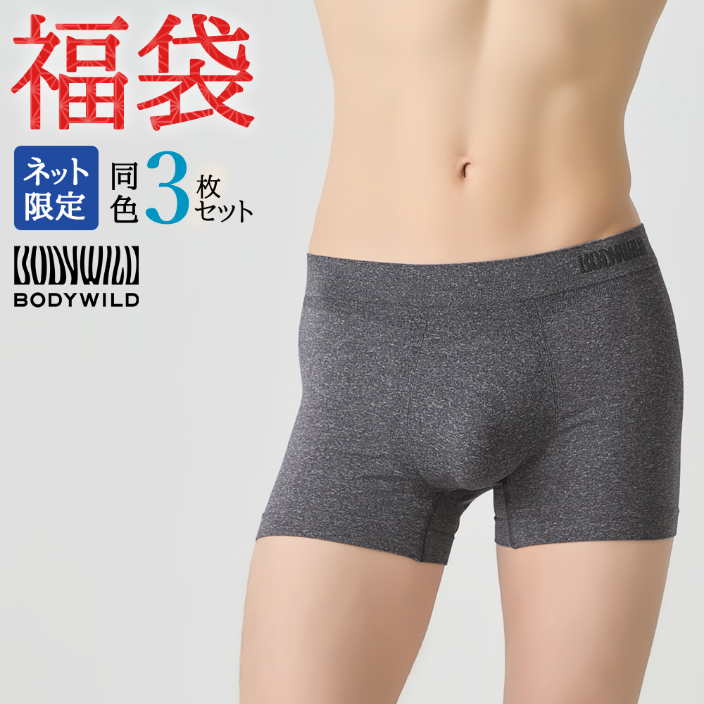 BODY WILD（ボディワイルド） 福袋 2026 メンズ グンゼ ボクサーパンツ