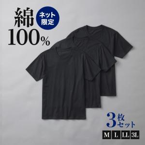 グンゼ GUNZE クルーネックTシャツ 3枚組 綿100％ メンズ 天竺 インナーシャツ まとめ買...