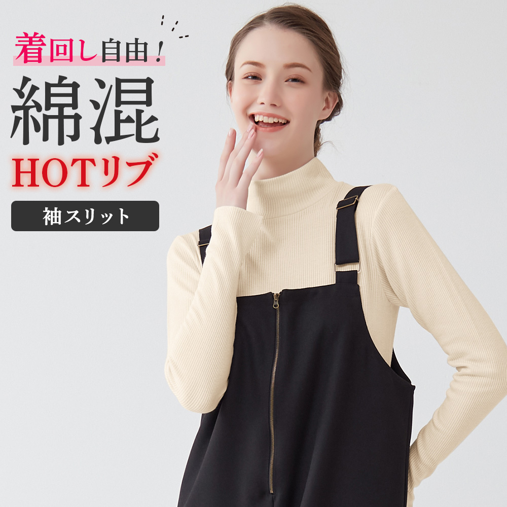 GUNZE グンゼ リブニット タートルネック レディース 秋冬