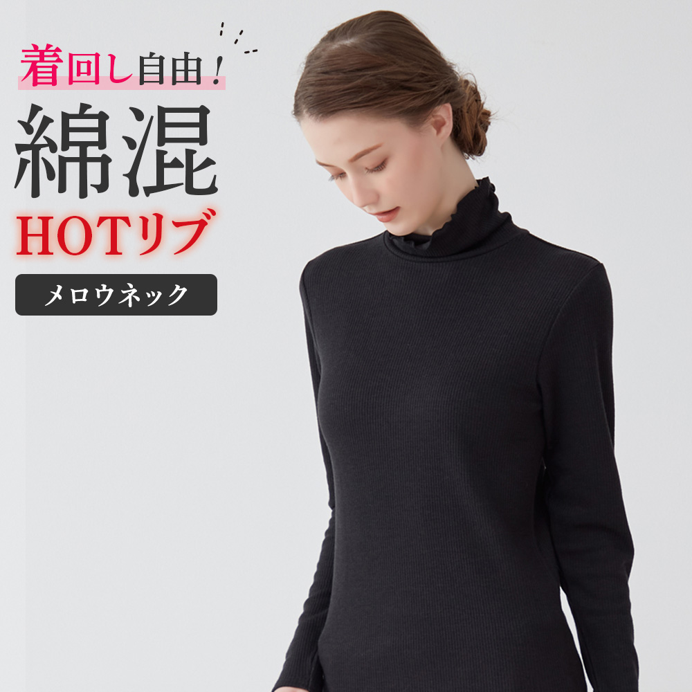 GUNZE グンゼ リブニット タートルネック レディース 秋冬