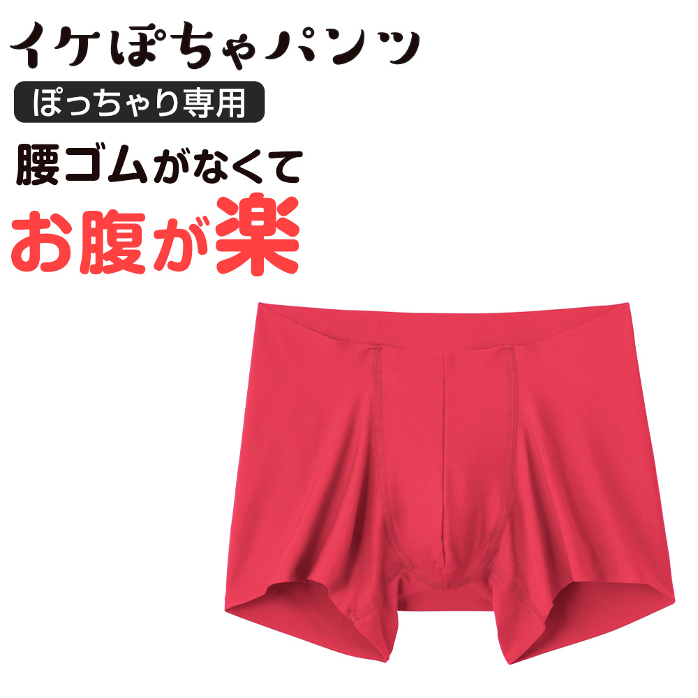 GUNZE（グンゼ） ボクサーパンツ メンズ 前閉じ ぽっちゃり専用 GUNZE