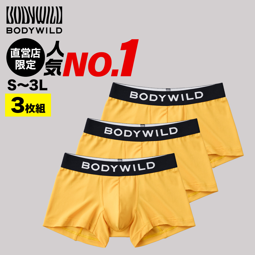 ベストボディジャパン公式ウェア(ボクサーパンツセット) BODY WILD（ボディワイルド） グンゼ ボクサーパンツ 3枚 セット 男性