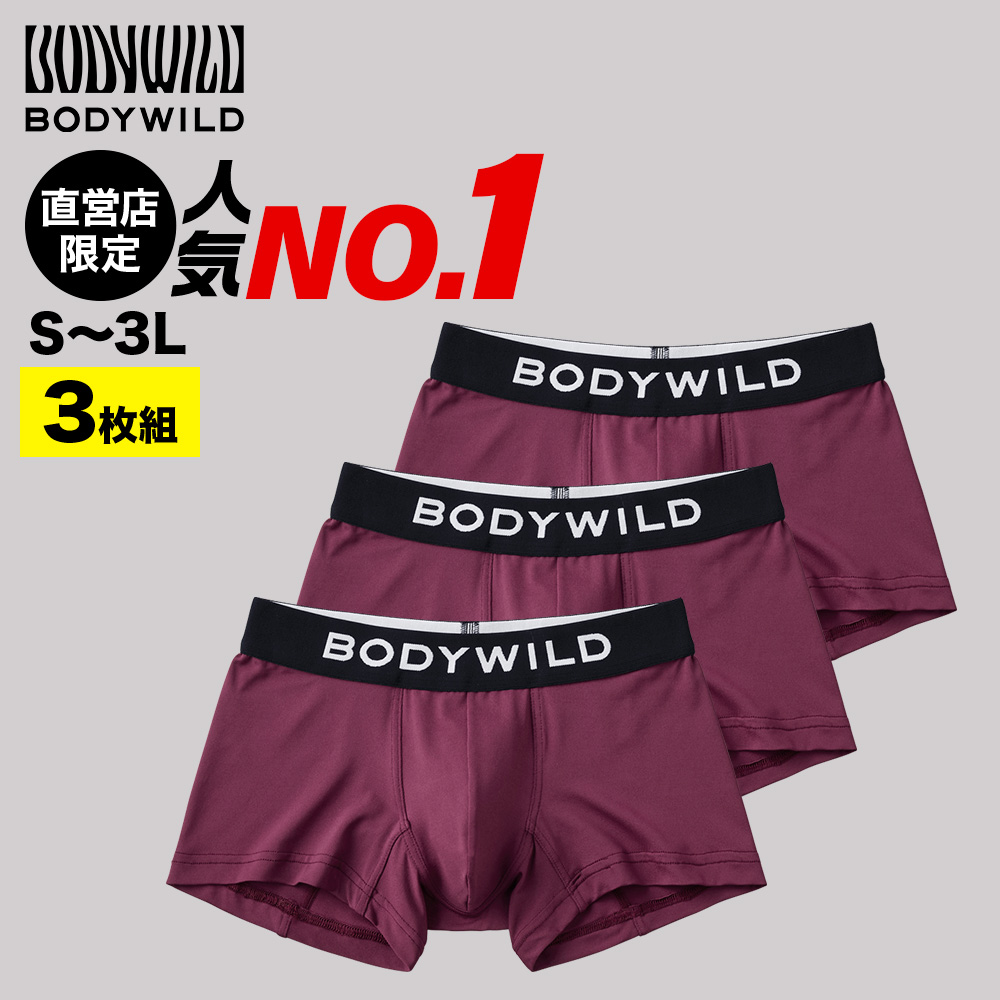 BODY WILD（ボディワイルド） グンゼ ボクサーパンツ 3枚 セット 男性