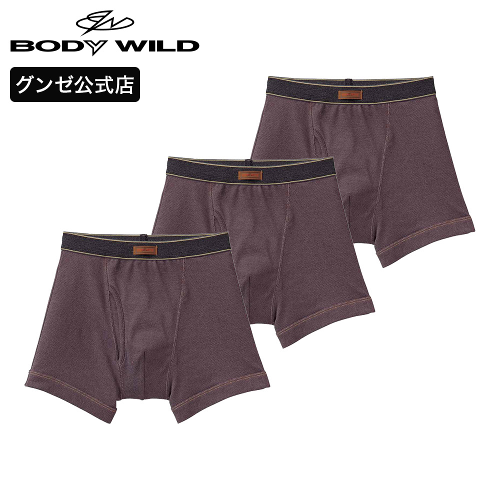 【10日8時迄タイムセール】グンゼ GUNZE ボディワイルド BODYWILD ボクサーパンツ メンズ 3枚組 前開き 綿混 定番 直営店限定 無地  お得 3P ST3585P M-LL