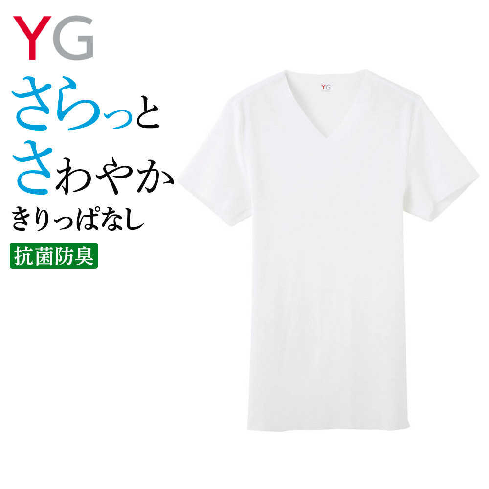 YG グンゼ GUNZE 半袖 インナーシャツ メンズ 春夏 V首 VネックT