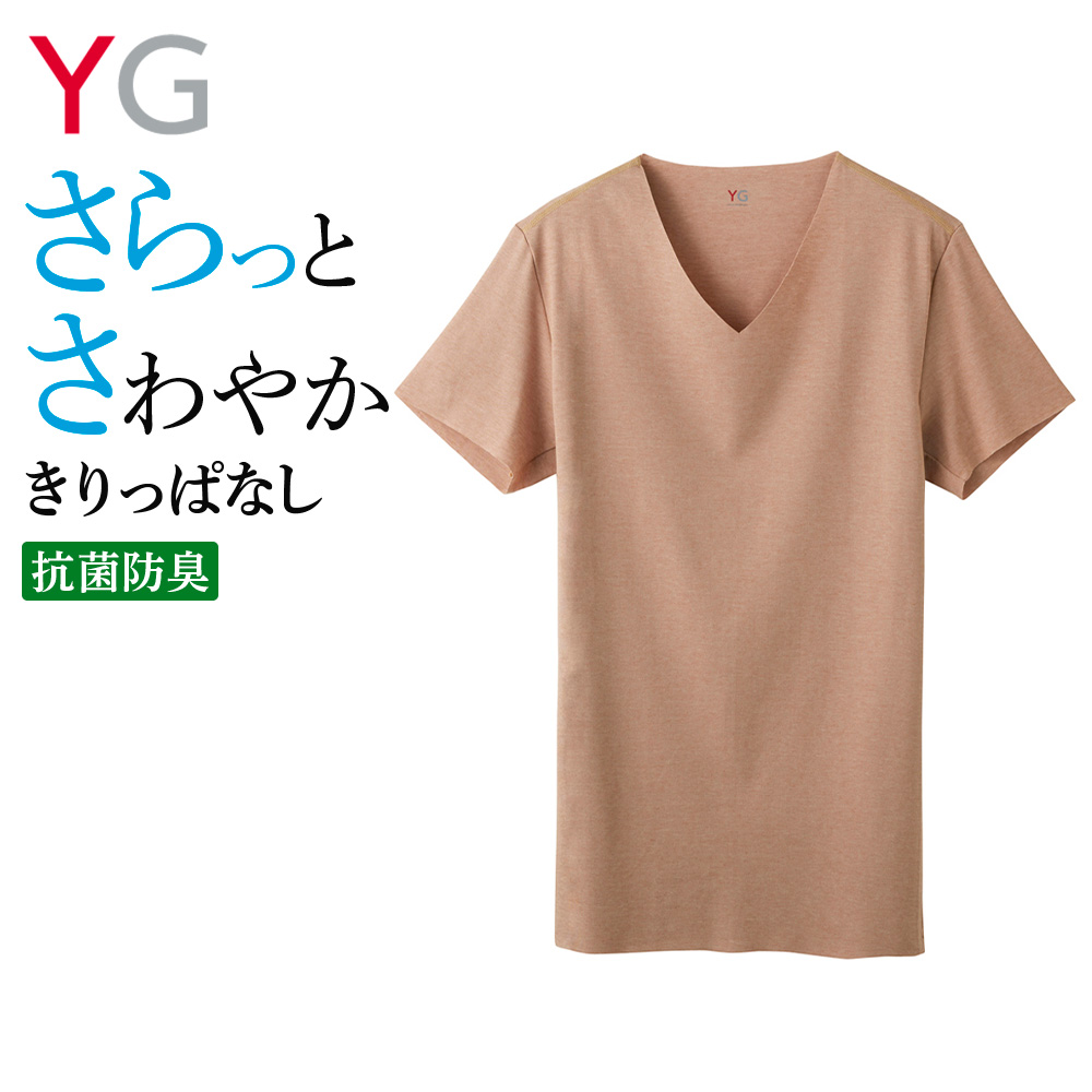 楽天市場】グンゼ 綿100％ 半袖 V首 シャツ メンズ Vネック 半袖