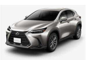 レクサス NX200t NX300h AGZ10 AGZ15 F スポーツ LOOK フロント