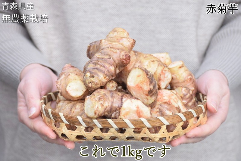 赤菊芋 菊芋 1kg 送料無料 栽培期間中農薬不使用 洗浄済み 訳あり