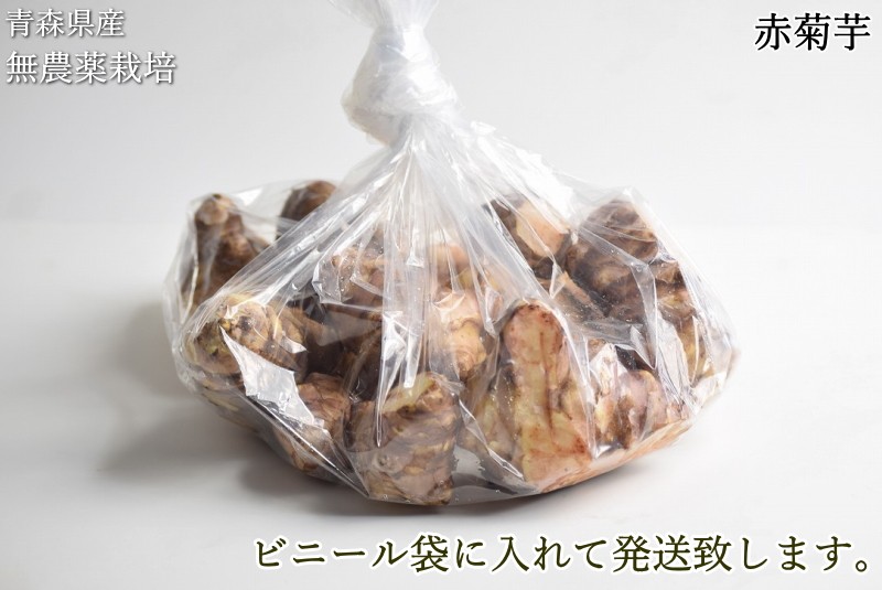 無農薬栽培 赤 菊芋 青森県産 生菊芋 掘りたて きくいも キクイモ イヌリン 菊芋 イヌリン
