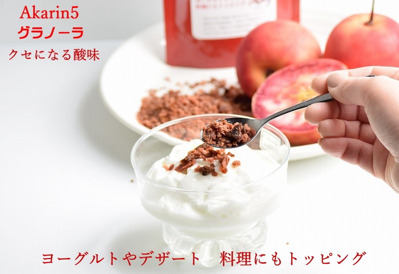  りんご ドライフルーツ 送料無料 Akarin5 グラノーラ 無添加 