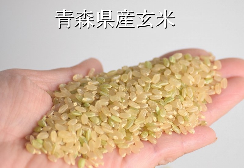 【玄米君　玄米粉】