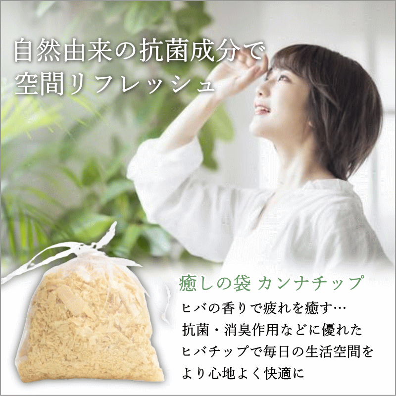 送料無料 青森ヒバ