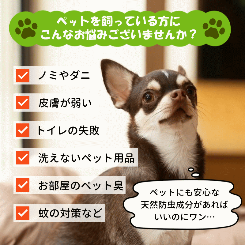 ヒバ油 送料無料 ペット臭 お試し 10ml 癒しの雫 ひば精油 アロマ 脱臭 消臭 ヒバ油 虫よけ 虫除け ヒノキチオール ヒバ精油 |  | 03