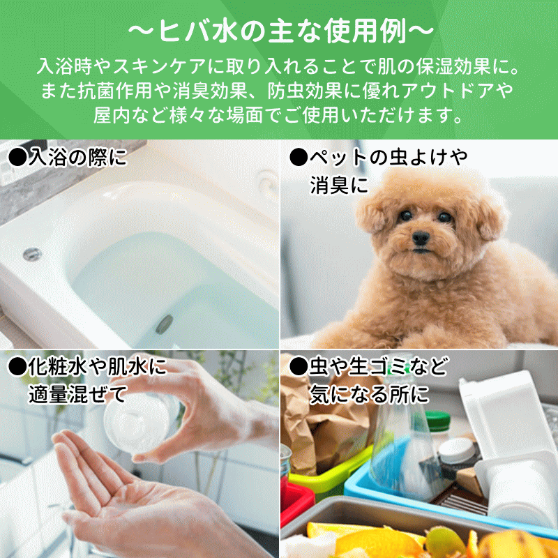 青森ヒバ