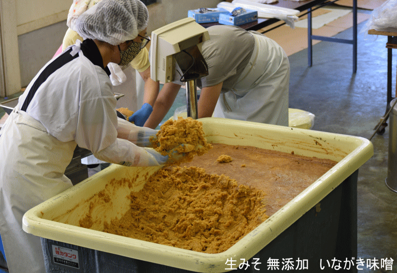 生みそ 味噌 無添加  津軽 いながき味噌　稲垣味噌