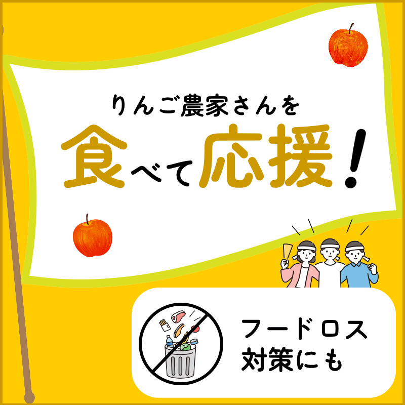 青森りんご【りんご】【訳あり】【家庭用】