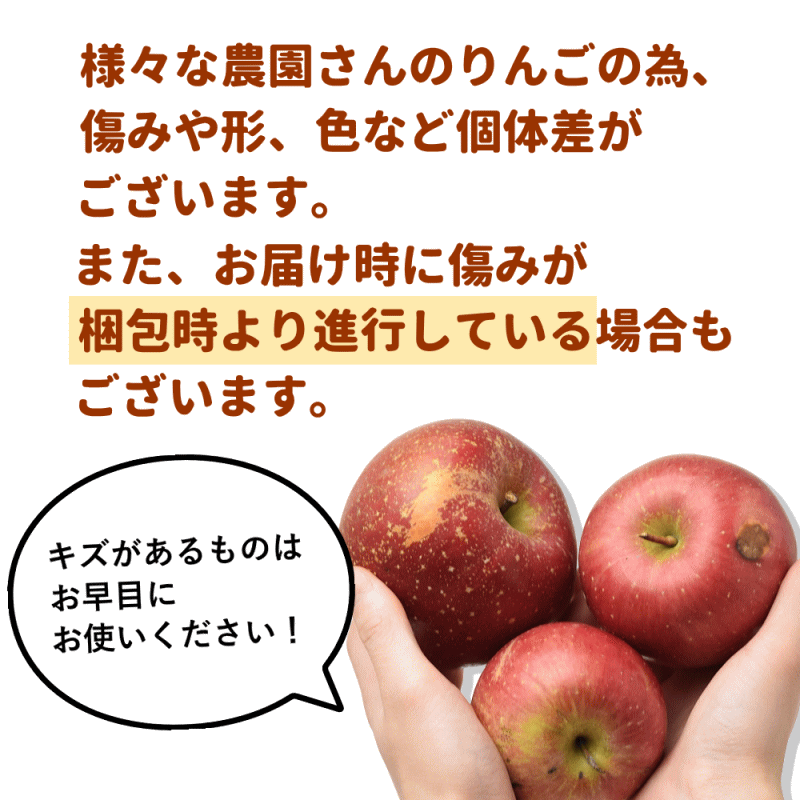 【りんご】【訳あり】【家庭用】