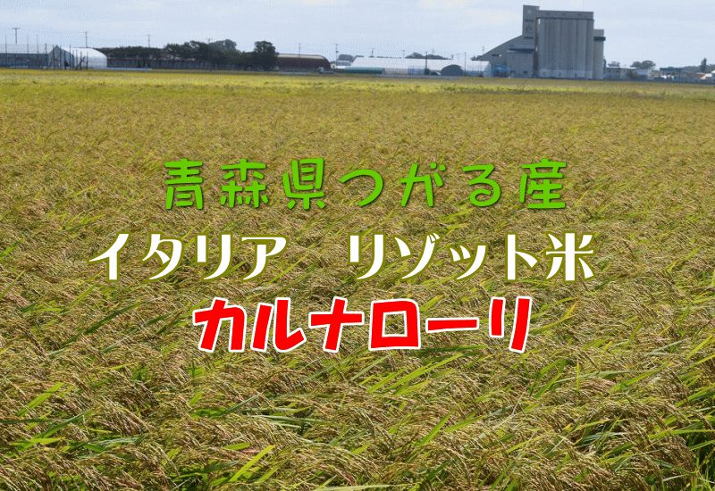 国産 カルナローリ 850g 訳あり お得 リゾット 青森県産 イタリア米 