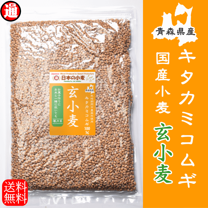 栽培期間中 農薬不散布 国産 小麦 玄小麦 キタカミコムギ 20kg 2kg×10 送料無料 青森県産 業務用 国産玄小麦 玄麦 製粉前 薄力粉 国産小麦 国産小麦を使用