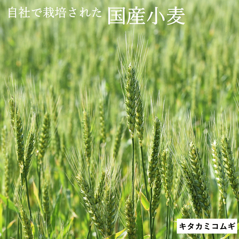 国産 小麦 粒 キタカミコムギ 400g 青森県産 全粒小麦 未精白 薄力系