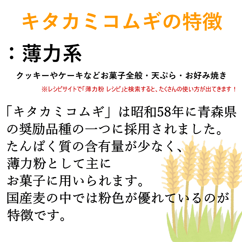 国産 小麦 粒 キタカミコムギ 400g 青森県産 全粒小麦 未精白 薄力系