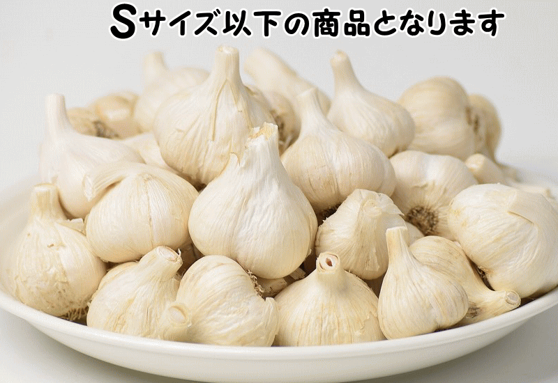 にんにく (産直) 青森 生産者直送 1kg 小玉 訳あり Sサイズ以下 にんにく (産直) 青森 生産者直送 1kg 小玉 訳あり Sサイズ以下