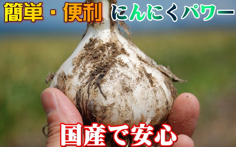 【にんにく】【青森にんにく】【にんにく】【青森県産にんにく】